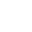 Bhupa'